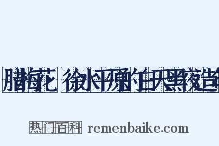 腊梅花·徐水平原的白天黑夜造句是什么意思的图片